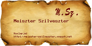 Meiszter Szilveszter névjegykártya