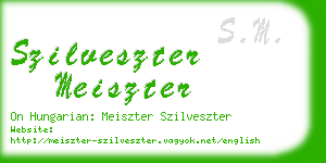 szilveszter meiszter business card